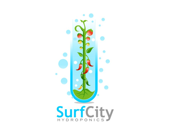 Surf City logo design